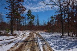 Sleepy Hollow Phase I Tract 57