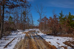 Sleepy Hollow Phase I Tract 57