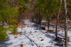 Sleepy Hollow Phase I Tract 57