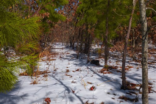 Sleepy Hollow Phase I Tract 57