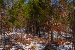 Sleepy Hollow Phase I Tract 57