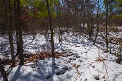 Sleepy Hollow Phase I Tract 57