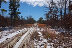 property photo for Sleepy Hollow Phase I Tract 58, 5.24 acres for sale in Texas County, Missouri