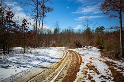 property photo for Sleepy Hollow Phase I Tract 58, 5.24 acres for sale in Texas County, Missouri