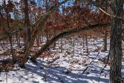 property photo for Sleepy Hollow Phase I Tract 58, 5.24 acres for sale in Texas County, Missouri