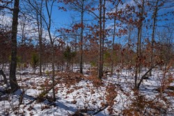 property photo for Sleepy Hollow Phase I Tract 58, 5.24 acres for sale in Texas County, Missouri