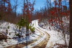 Sleepy Hollow Phase I Tract 59