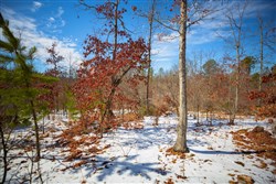 Sleepy Hollow Phase I Tract 59
