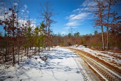 Sleepy Hollow Phase I Tract 59