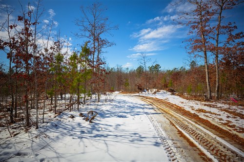 Sleepy Hollow Phase I Tract 59