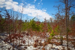 Sleepy Hollow Phase I Tract 59