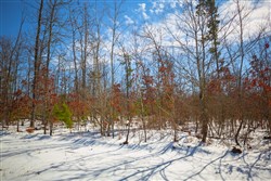 Sleepy Hollow Phase I Tract 59
