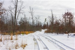 property photo for Sleepy Hollow Phase I Tract 6, 5.07 acres for sale in Texas County, Missouri
