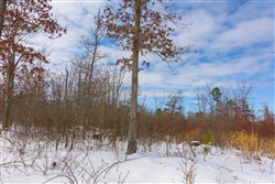 property photo for Sleepy Hollow Phase I Tract 6, 5.07 acres for sale in Texas County, Missouri