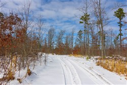 property photo for Sleepy Hollow Phase I Tract 6, 5.07 acres for sale in Texas County, Missouri