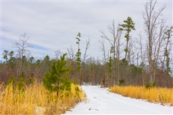 Sleepy Hollow Phase I Tract 7