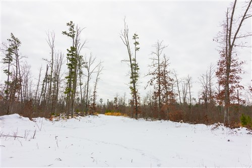 Sleepy Hollow Phase I Tract 7