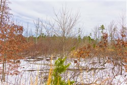 Sleepy Hollow Phase I Tract 7