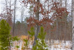 Sleepy Hollow Phase I Tract 7