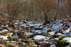 property photo for Sleepy Hollow Phase I Tract 8, 7.15 acres for sale in Texas County, Missouri
