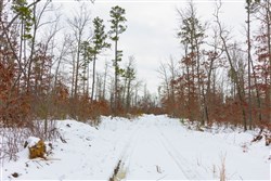 Sleepy Hollow Phase I Tract 9