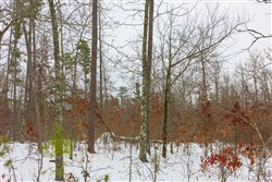 Sleepy Hollow Phase I Tract 9