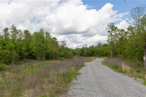 Sleepy Hollow Phase II Tract 100