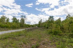 Sleepy Hollow Phase II Tract 100