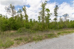 Sleepy Hollow Phase II Tract 100