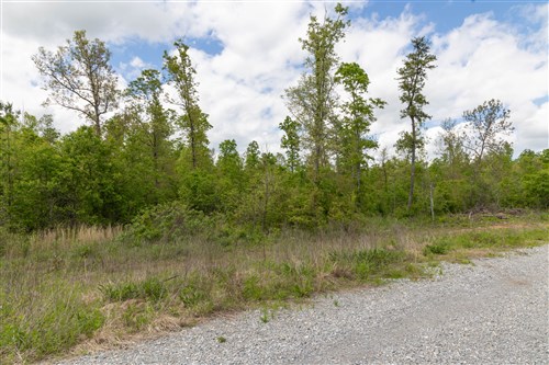 Sleepy Hollow Phase II Tract 100
