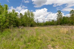 Sleepy Hollow Phase II Tract 100