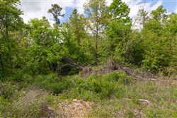 Sleepy Hollow Phase II Tract 100