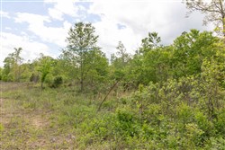 Sleepy Hollow Phase II Tract 100