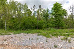 Sleepy Hollow Phase II Tract 101