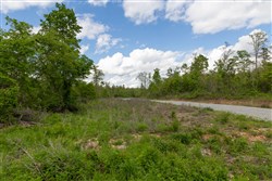 Sleepy Hollow Phase II Tract 101