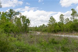Sleepy Hollow Phase II Tract 101