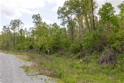 Sleepy Hollow Phase II Tract 101