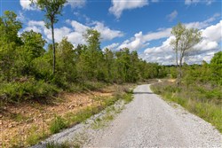 Sleepy Hollow Phase II Tract 102