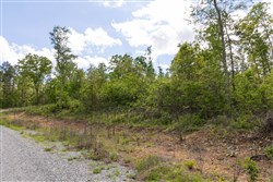 Sleepy Hollow Phase II Tract 102