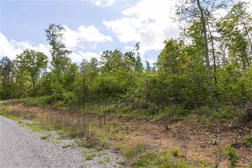 Sleepy Hollow Phase II Tract 102