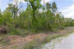 Sleepy Hollow Phase II Tract 102