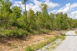 Sleepy Hollow Phase II Tract 102