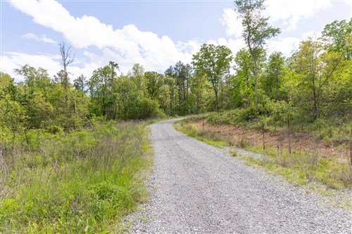 Sleepy Hollow Phase II Tract 103