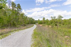 Sleepy Hollow Phase II Tract 103