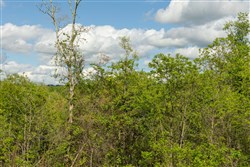 Sleepy Hollow Phase II Tract 103