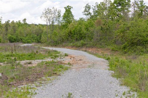 Sleepy Hollow Phase II Tract 104
