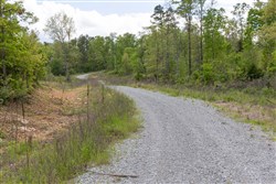 Sleepy Hollow Phase II Tract 104