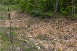 Sleepy Hollow Phase II Tract 104