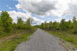 Sleepy Hollow Phase II Tract 105
