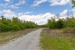 Sleepy Hollow Phase II Tract 105